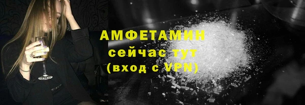 прущие грибы Михайловка