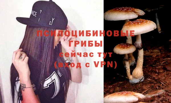 ПСИЛОЦИБИНОВЫЕ ГРИБЫ Медвежьегорск