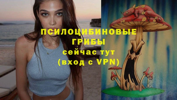 ПСИЛОЦИБИНОВЫЕ ГРИБЫ Медвежьегорск