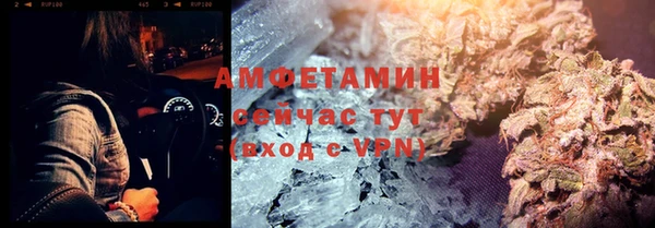 прущие грибы Михайловка