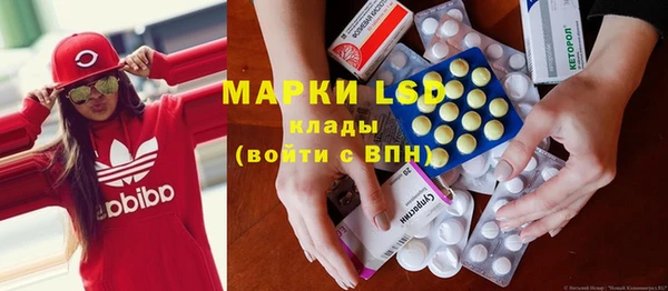 ПСИЛОЦИБИНОВЫЕ ГРИБЫ Медвежьегорск